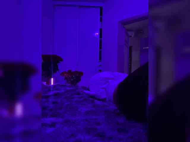 grkvs webcam
