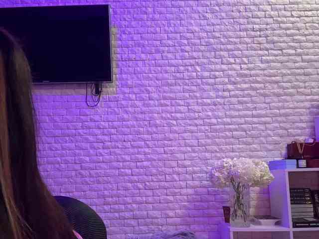 grkvs webcam