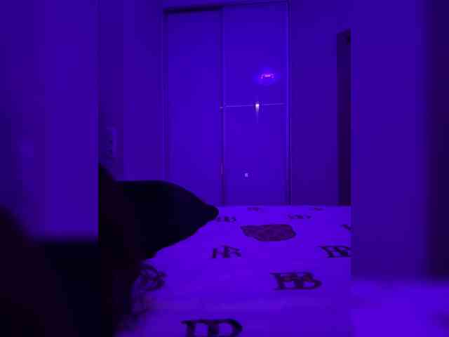 sweetkira25 sweetkira25