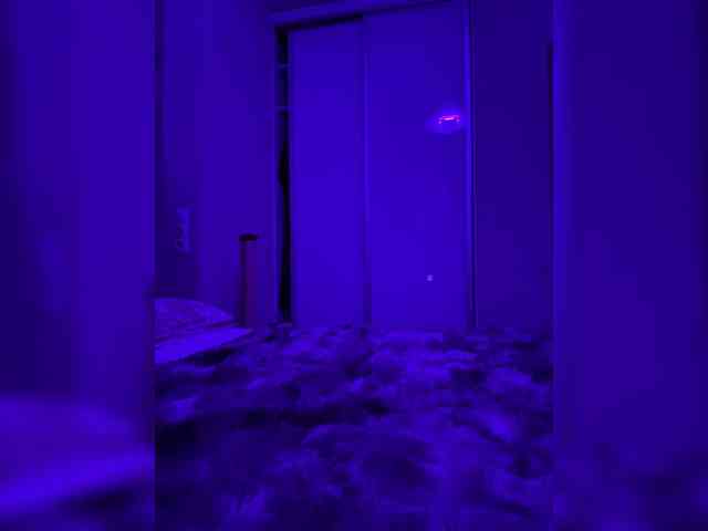 grkvs webcam
