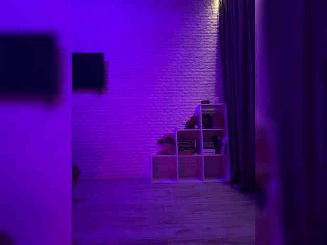 grkvs webcam