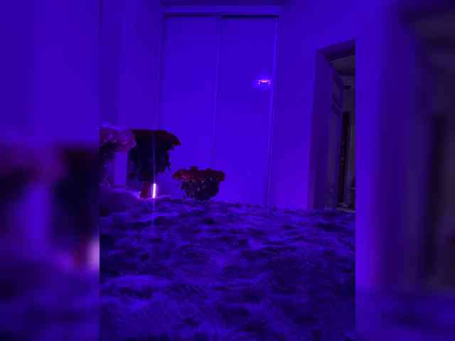 grkvs webcam