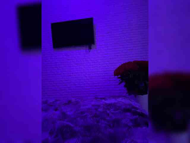 grkvs webcam