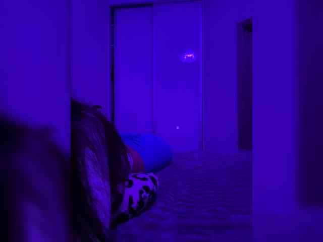 grkvs webcam