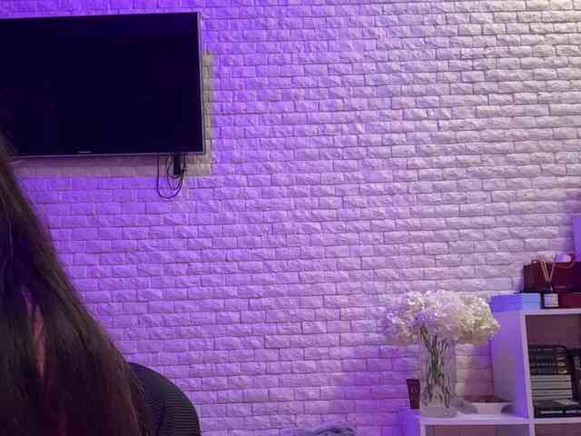 grkvs webcam