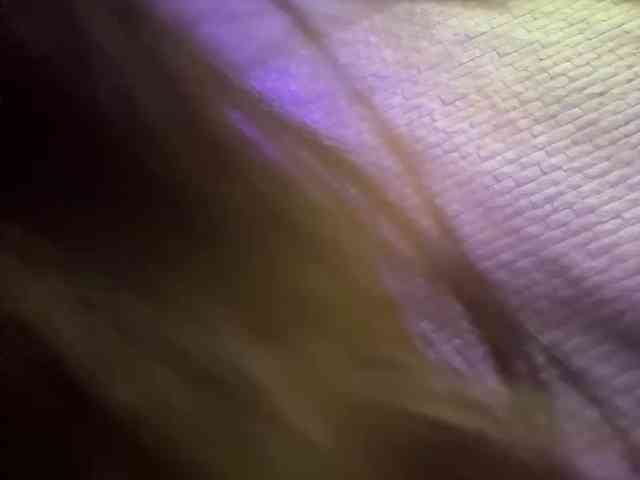 grkvs webcam