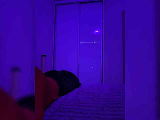 grkvs webcam