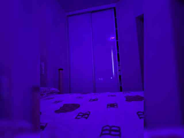 grkvs webcam