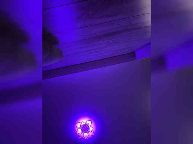 grkvs webcam