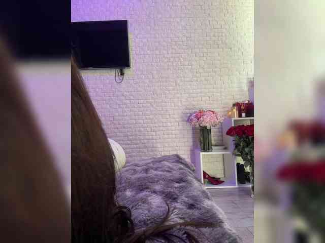 grkvs webcam