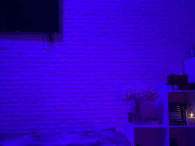 grkvs webcam
