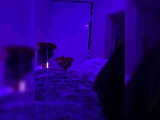 grkvs webcam