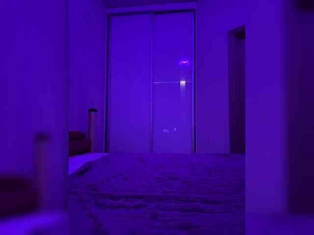 grkvs webcam