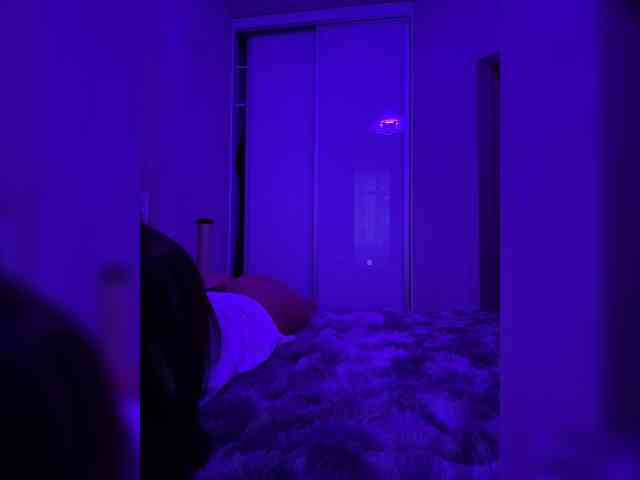 grkvs webcam