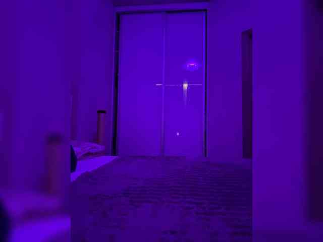 grkvs webcam