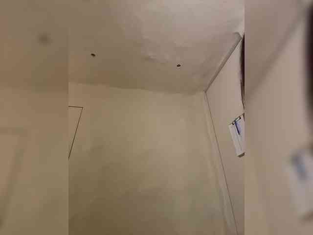 grkvs webcam