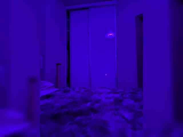 grkvs webcam