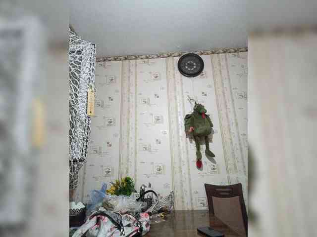 Millsieleonn webcam
