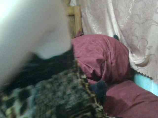 TimSofi webcam