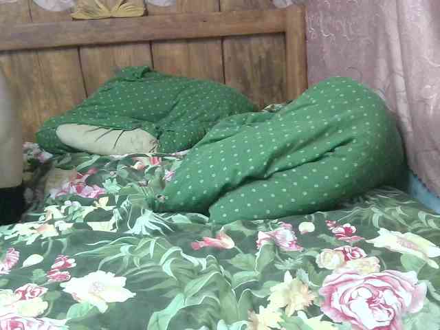 TimSofi webcam