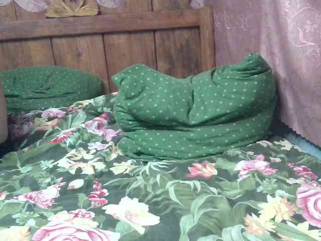 TimSofi webcam