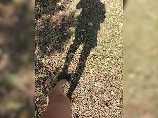 _Wild_Beast_