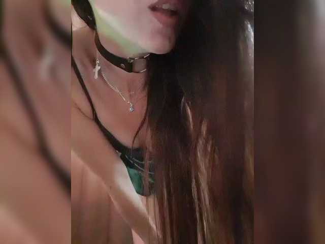 _Wild_Beast_ webcam