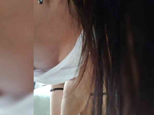 _Wild_Beast_ webcam
