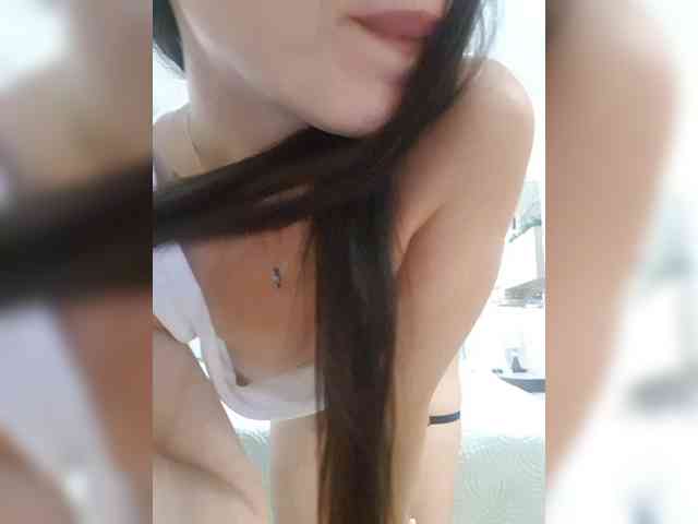 _Wild_Beast_ webcam