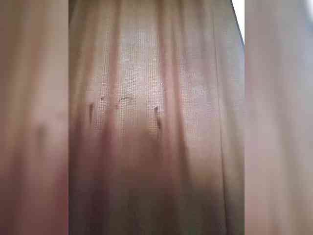_Wild_Beast_ webcam