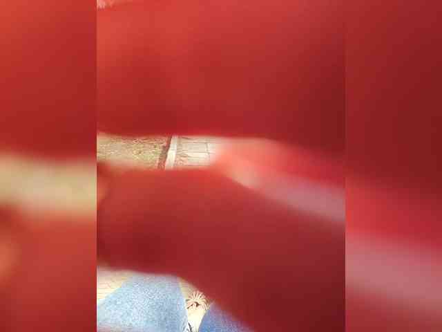 _Wild_Beast_ webcam