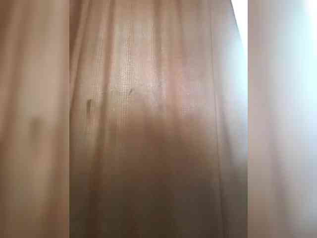 _Wild_Beast_ webcam