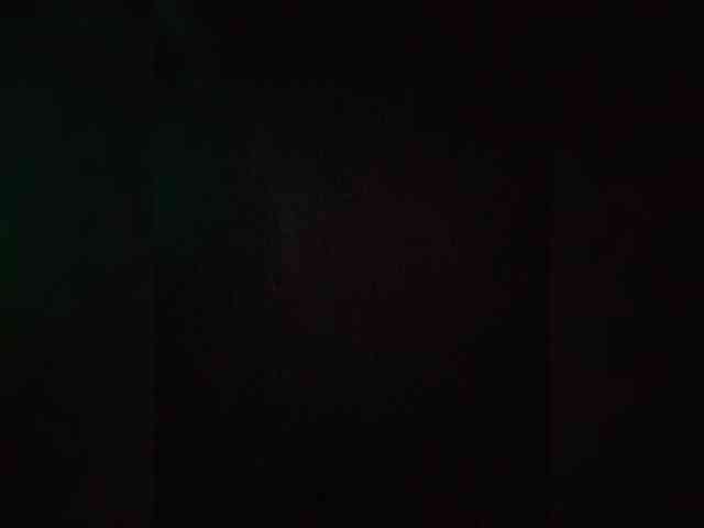 _Wild_Beast_ webcam