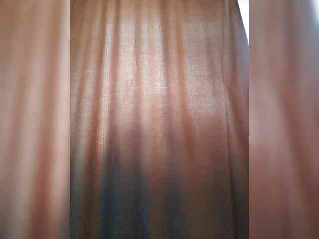_Wild_Beast_ webcam