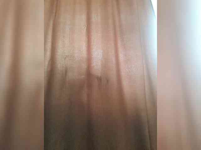 _Wild_Beast_ webcam