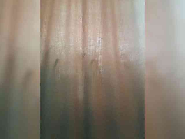 _Wild_Beast_ webcam