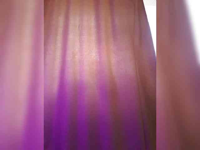 _Wild_Beast_ webcam