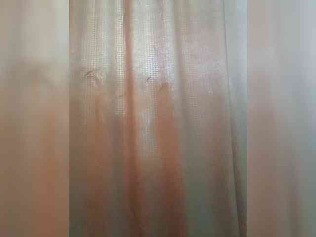 _Wild_Beast_ webcam