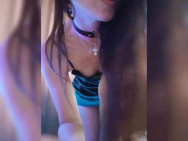 _Wild_Beast_ webcam