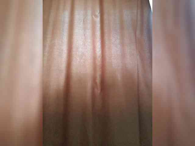 _Wild_Beast_ webcam