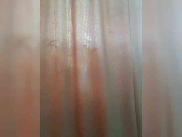 _Wild_Beast_ webcam