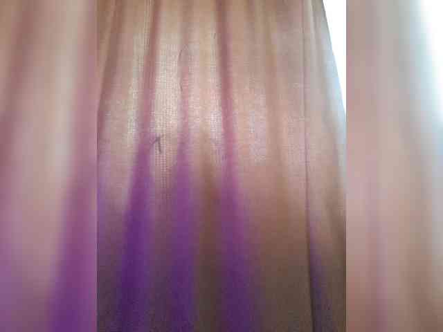 _Wild_Beast_ webcam