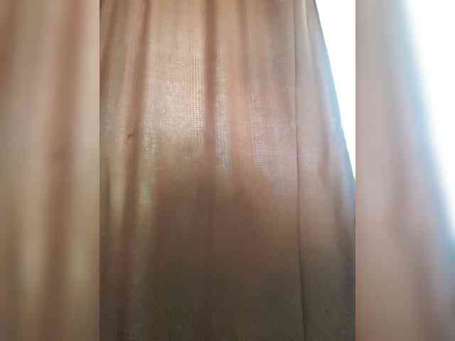 _Wild_Beast_ webcam