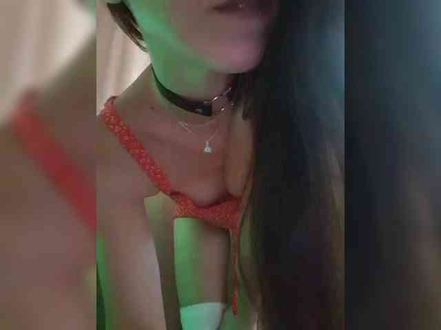 _Wild_Beast_ webcam