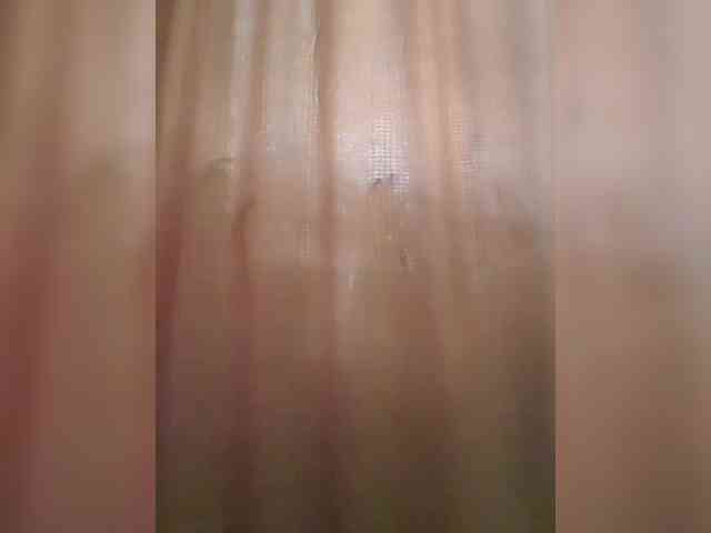 _Wild_Beast_ webcam