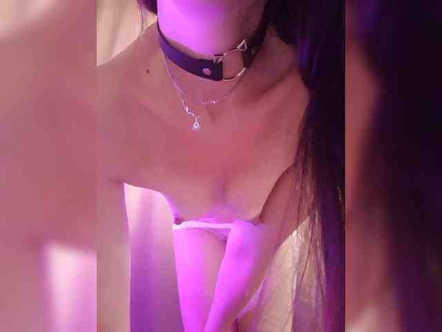 _Wild_Beast_ webcam