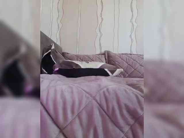 Catwomanbb