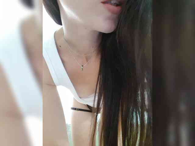 _Wild_Beast_ webcam