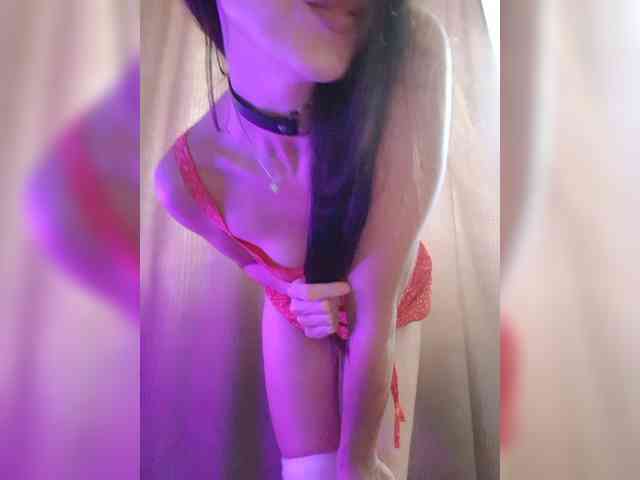 _Wild_Beast_ webcam