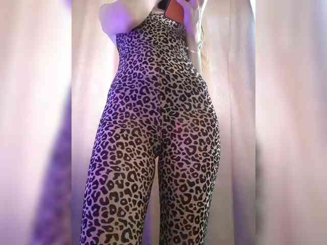_Wild_Beast_ webcam